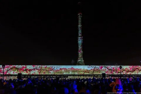 Королевская елка в останкино
