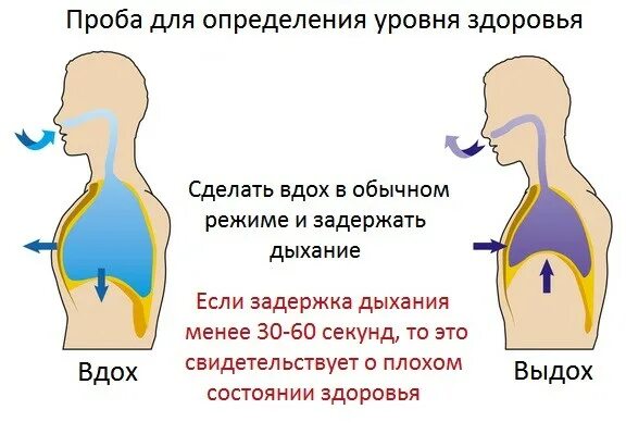 Сколько делаем вдохов в день