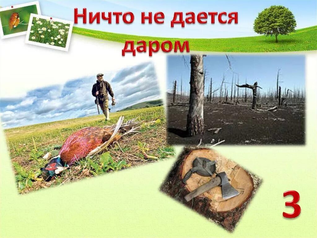Ничто не сохранилось. Ничто не дается даром. закон ничего не дается даром. ничего не дается даром экология. ничто не дается даром примеры.