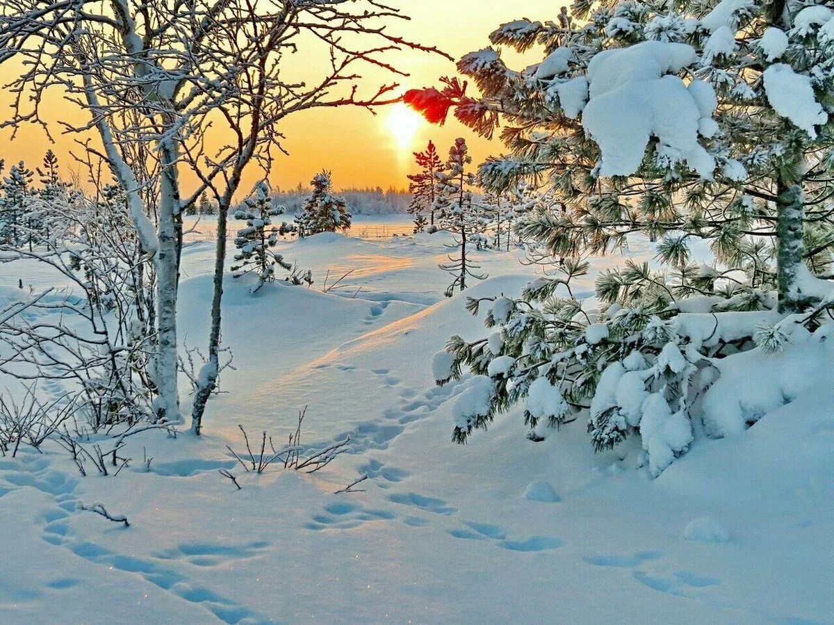 Снег покрыл все кругом. Снежная морозная зима. Пушистый снег. Солнечный зимний день. Зима солнце.