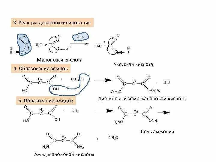 Реакция образования эфиров называется. Малоновая кислота Синтез. Образование полного Амида малоновой кислоты. Синтез малонового эфира реакция. Механизм реакции декарбоксилирования.