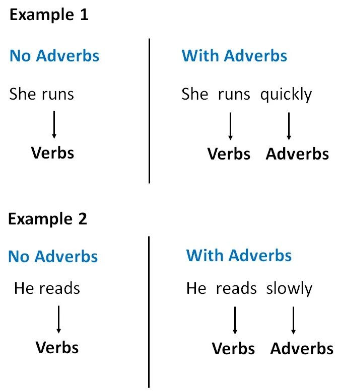 Adverbs примеры. Adverbs examples. What is adverb. Since adverb пример. Help adverb