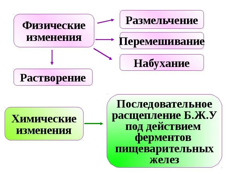 Химическое изменение пищи