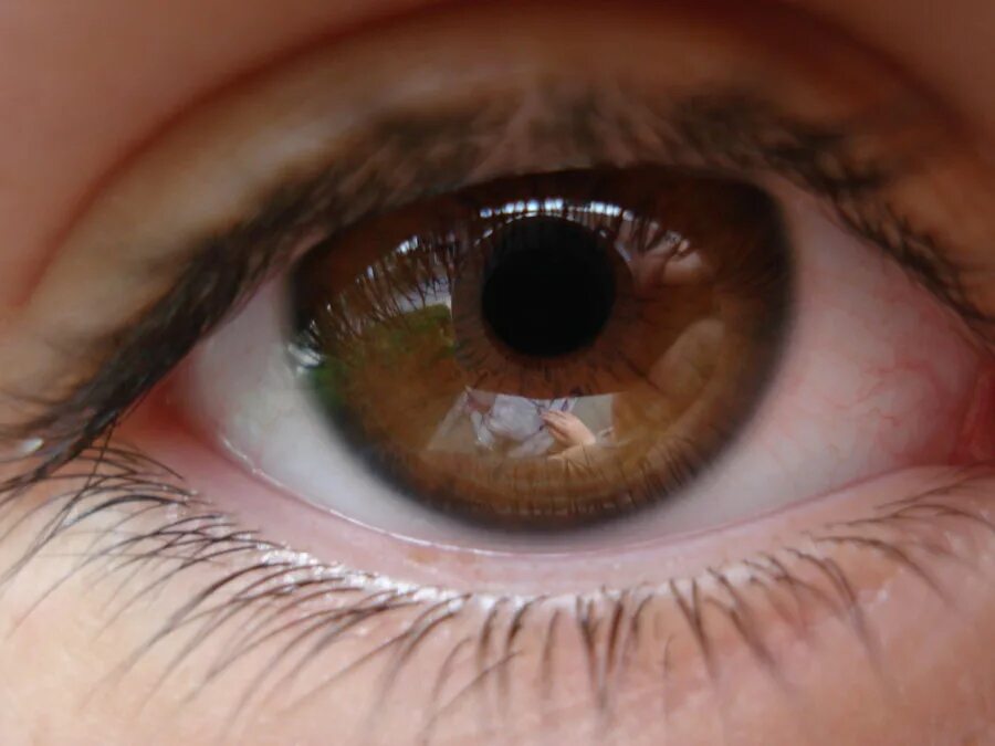 Зелено карие глаза. Карий цвет глаз. Карие глаза. Карикеглаза у человека.