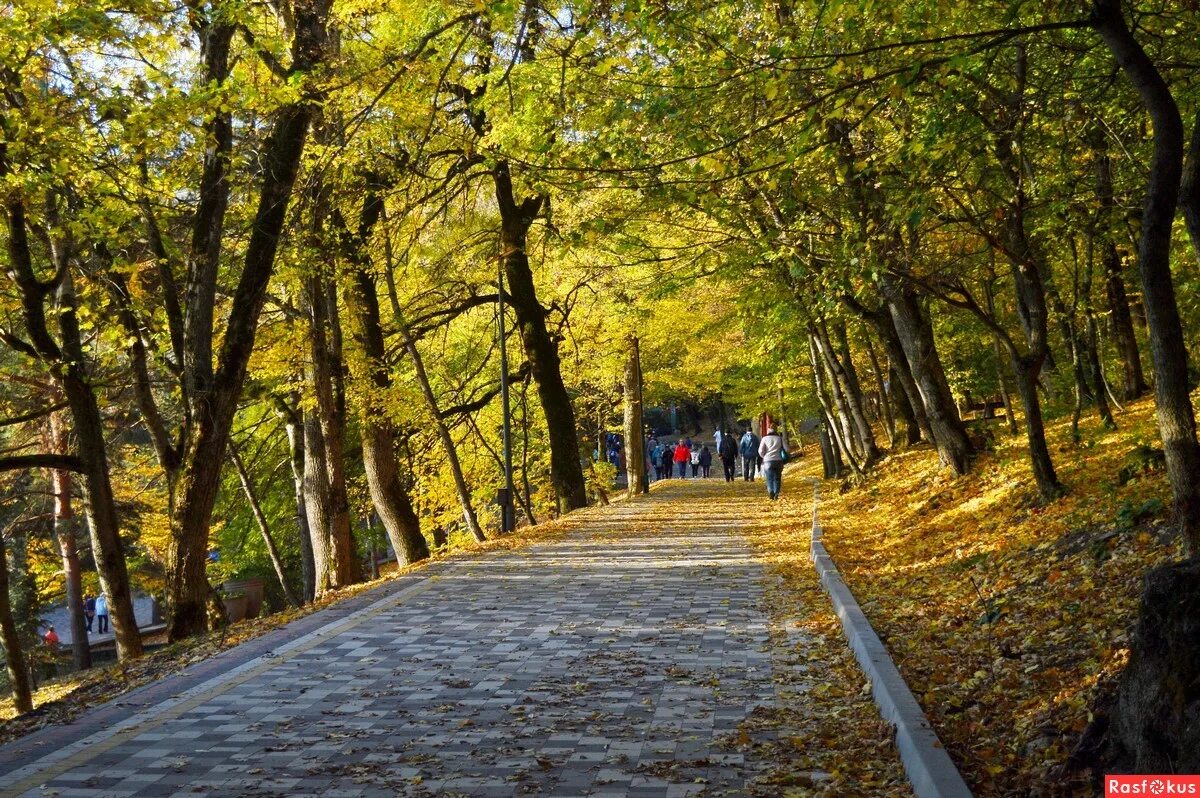 Железноводск проскурина. Железноводск парк терренкур. Лермонтовский терренкур Железноводск. Терренкур 1 Железноводск. Гора железная в Железноводске терренкур.