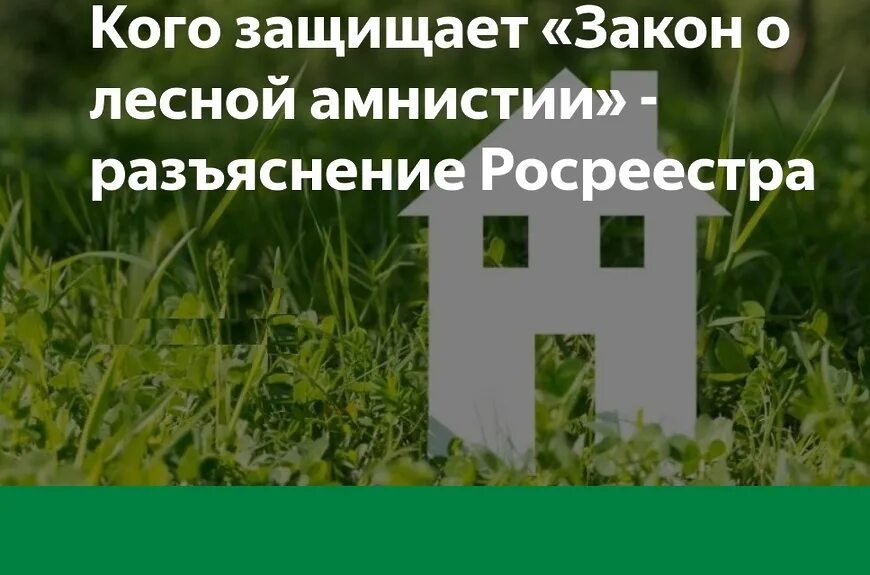 Лесная амнистия. Закон о Лесной амнистии. Закон о Лесной амнистии 280-ФЗ. «Лесной амнистии» в Тюмени. 280 лесная амнистия