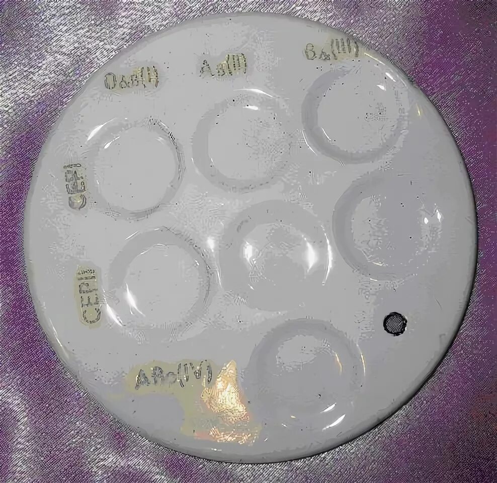 уп минимед. планшеты для определения группы. уп. тарелка для определения группы крови. планшетка для определения группы крови.