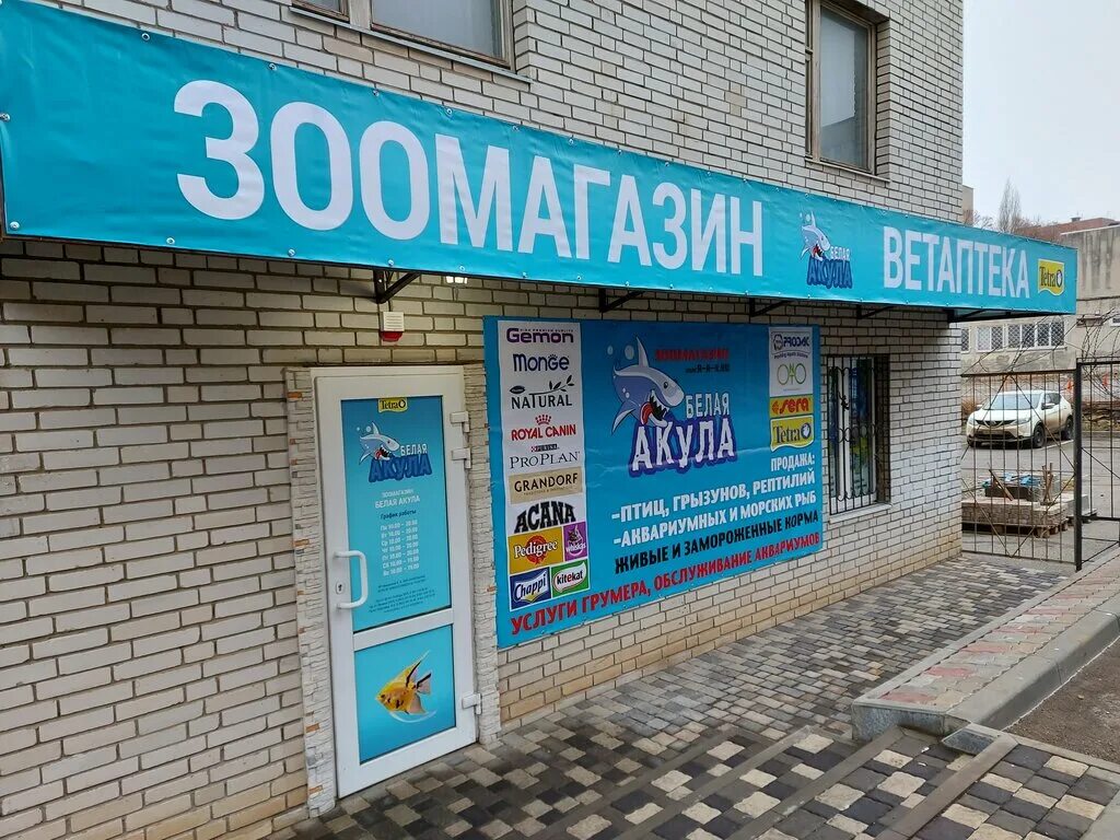 акула зоомагазин. белая акула зоомагазин в ростове. белая акула, ростов-на-дону, проспект ленина. белая акула зоомагазин в ростове на дону на ленина. магазин белая акула.