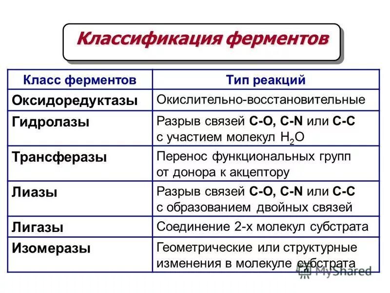 Ферментами являются соединения. Классы фермента Тип реакции. Классификация ферментов. Классификация ферментов таблица. Классификация ферментов биохимия.