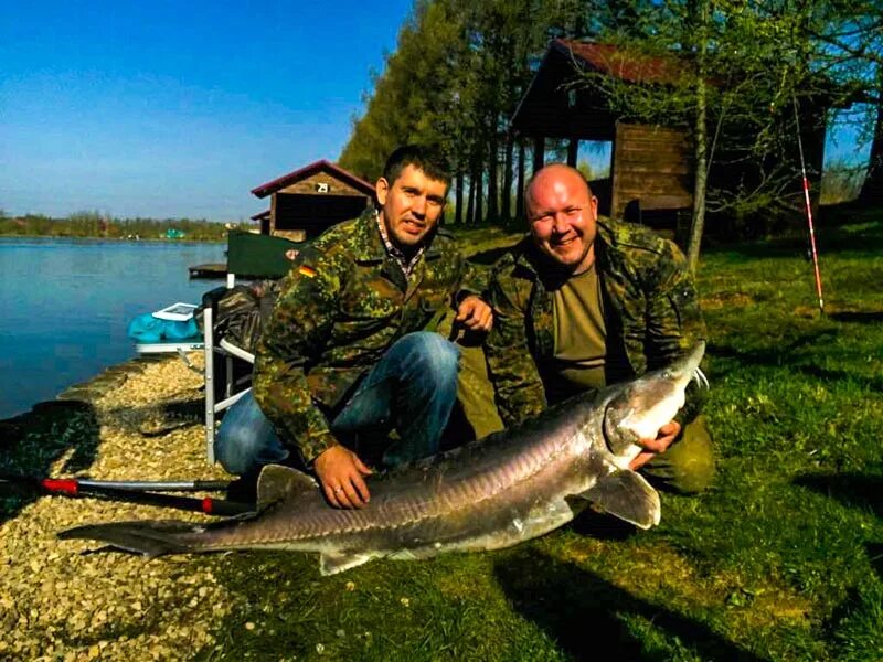 Рыбалка в оренбурге и оренбургской области. Озеро Белужье Оренбург. Турбаза Белужье. Река Белужье Киров. Озеро Белужье Кировская область.