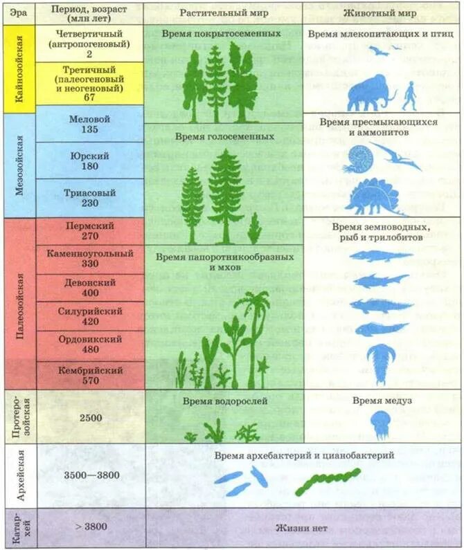 Эпохи и периоды развития жизни на земле. Геохронологическая таблица Эволюция растений. Эры развития земли в хронологическом порядке. Этапы развития жизни на земле эры. Последовательность появления групп организмов