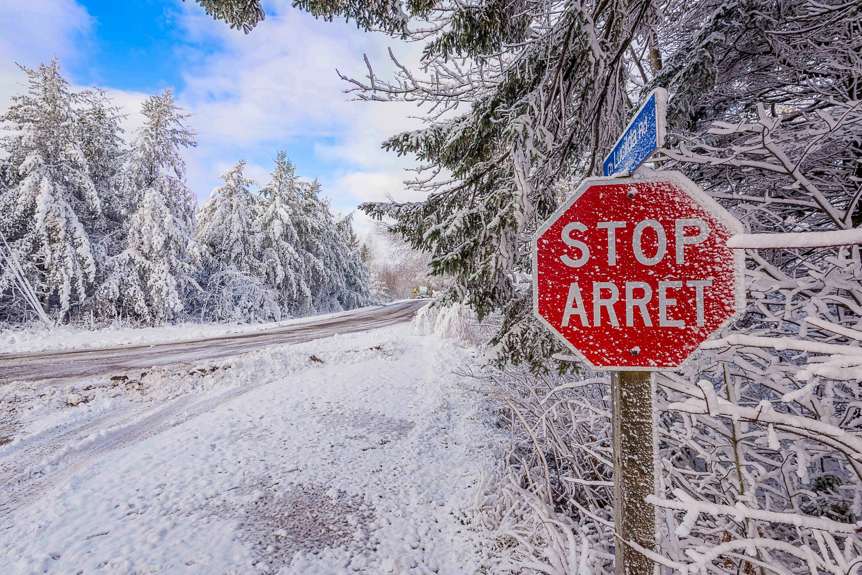 Дорожные знаки снег. Снег на дороге. Канада зимняя дорога. Знак на снежной дороге. Знак стоп зима.