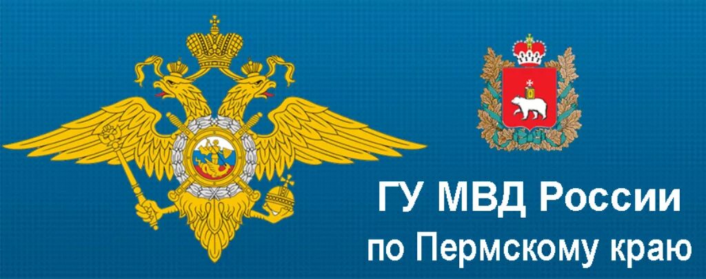 Пермь главное управление МВД. МВД логотип. ГУ МВД по Пермскому краю логотип. МВД Пермь герб. Увм по свердловской