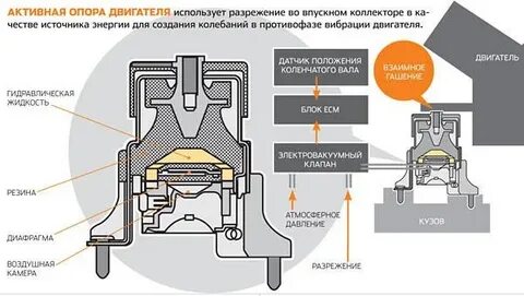 Как устроен рен