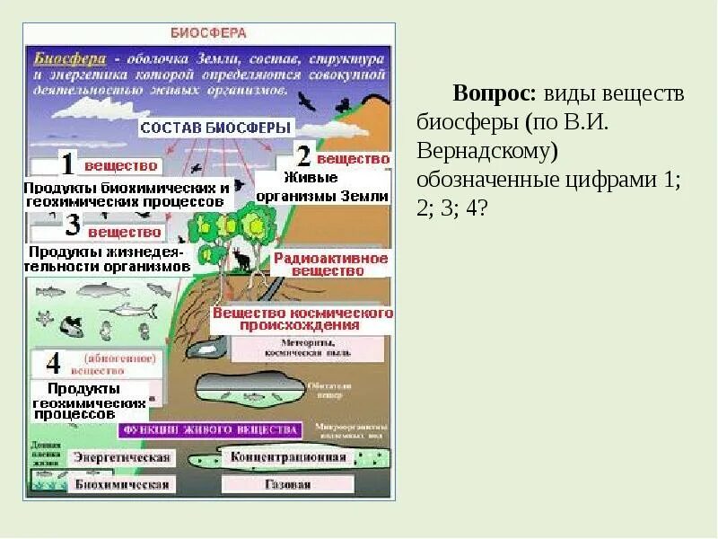 Контрольная по теме биосфера. Инфографика по биосфере. инфографика по теме биосфера. термодинамика биосферы. типы веществ в биосфере.