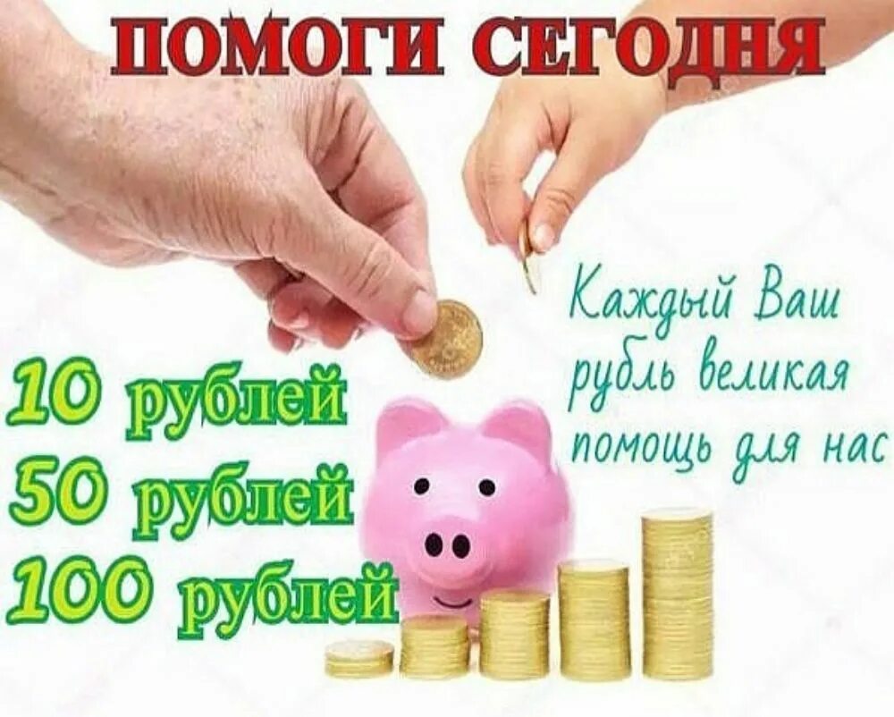 Сбор стоит. Помогите закрыть сбор. нам нужна финансовая помощь. нам важна любая ваша помощь. ваша финансовая помощь важна.