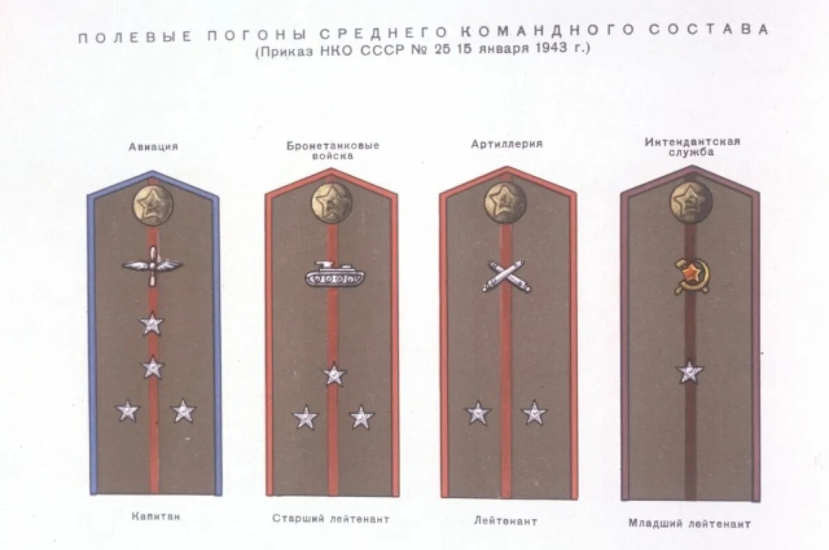 Когда появились погоны