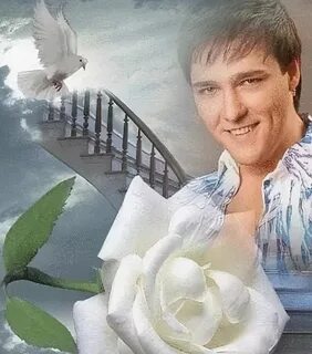 Цветы шатунова