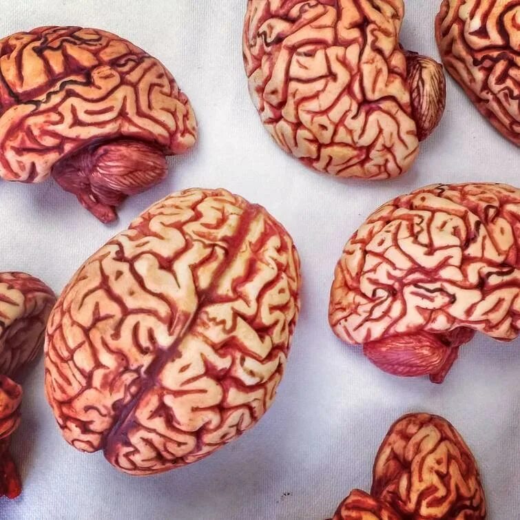Шоколадные мозги. Подушка в виде мозга. Игрушка в виде мозга.
