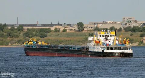 Дон 161