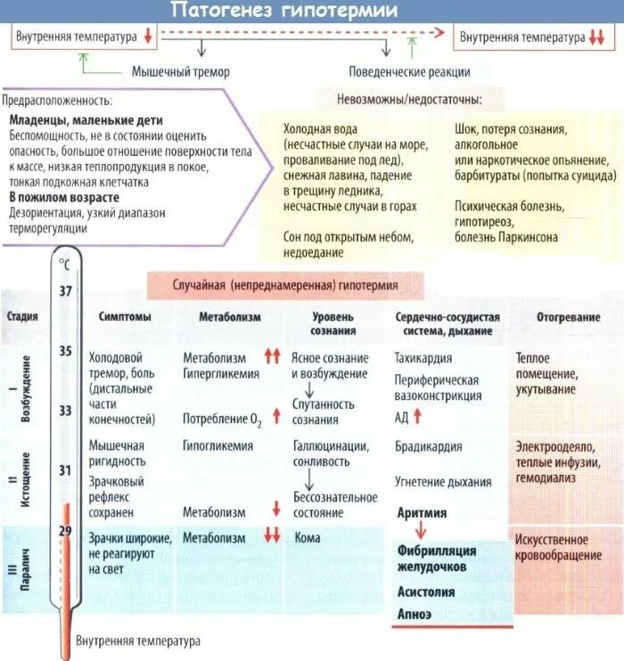 Температура после начала антибиотиков. Гипотермия. Причины переохлаждения. Характеристика гипертермии. Признаки гипотермии переохлаждения.