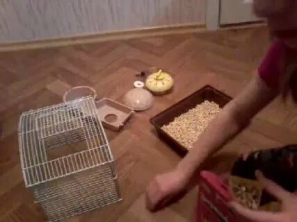 Как мыть клетку хомяка