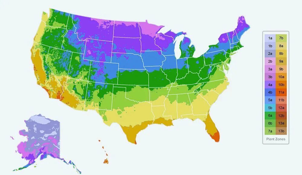 Любом климатической зоне. Зона USDA 3. USDA Zones Plant Hardiness. USDA 8 климатическая зона. Plant Hardiness Zone Map.