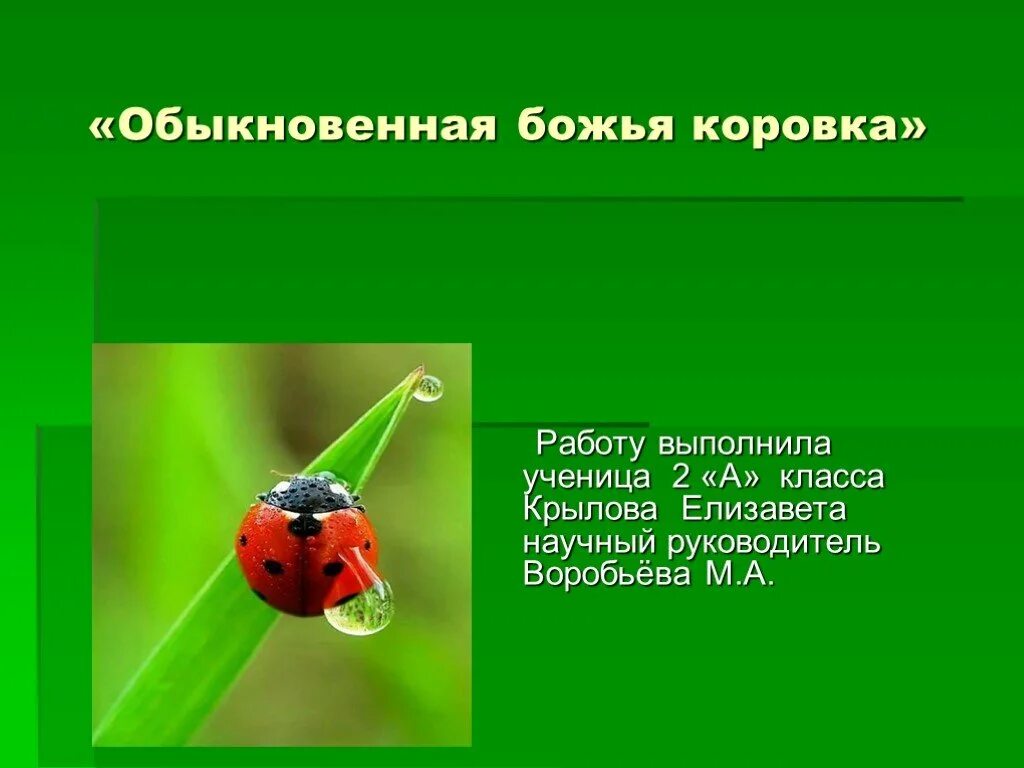 Зеленые страницы 2 класс солнышко. Зеленые страницы божья коровка. окружающий мир зелёная страница а божья коровка. зелёные страницы 3 класс божья коровка. тема мои зелёные страницы.