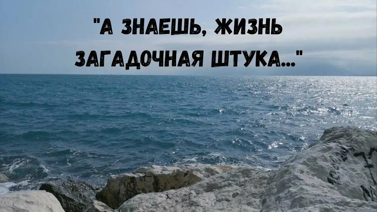 Мы знаем жизнь. Мы знаем жизнь