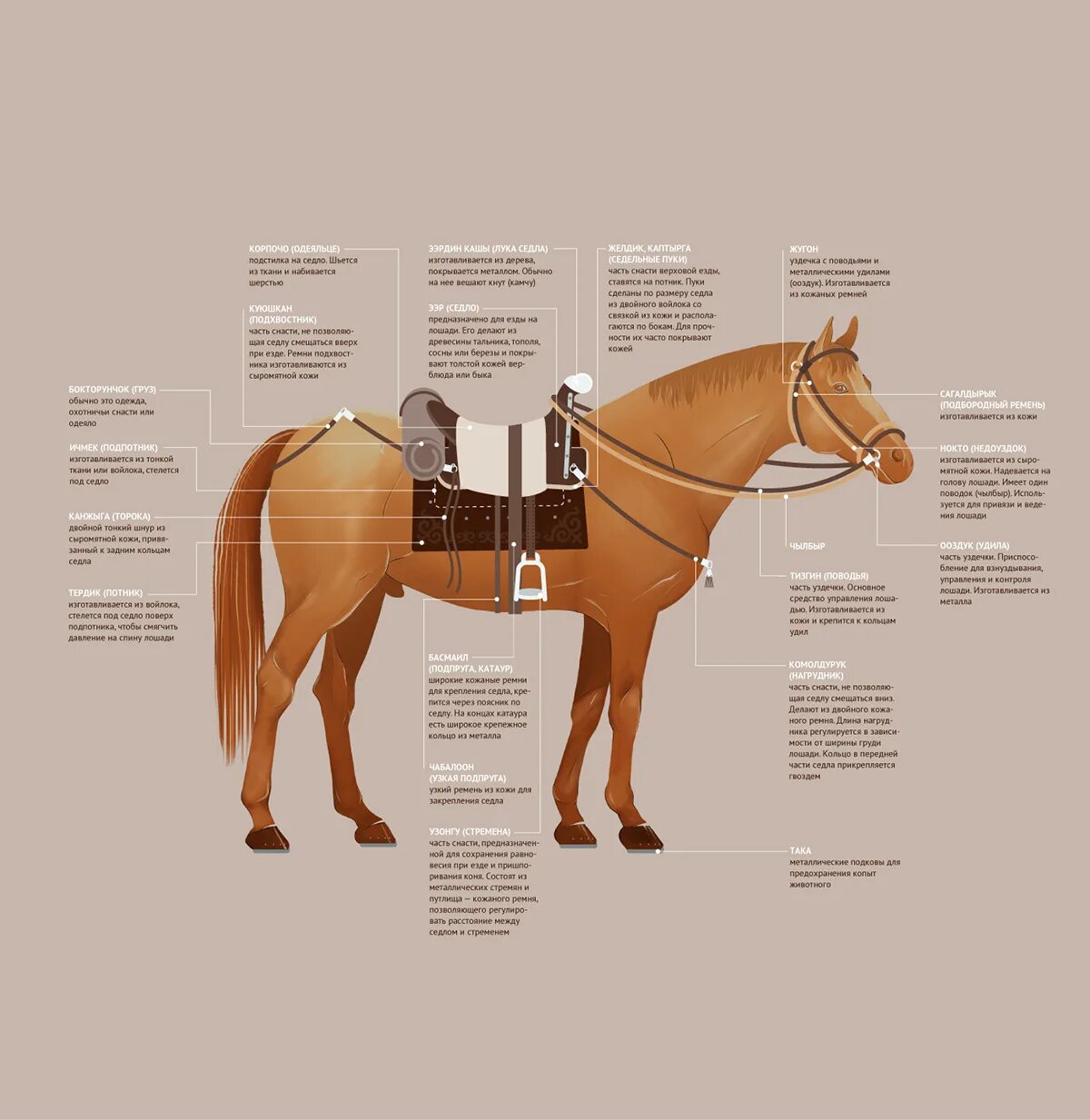 Лошадь вещи название