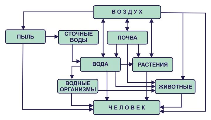пути поступления химических веществ в организме