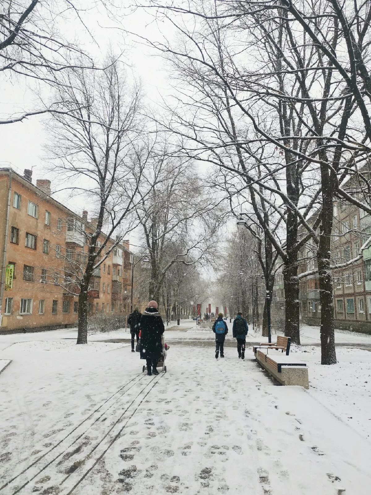 Снег в Вологде сегодня. Вологда зимой улицы. Вологда улицы города. Снег в Вологде сегодня фото. Прогноз вологда сегодня