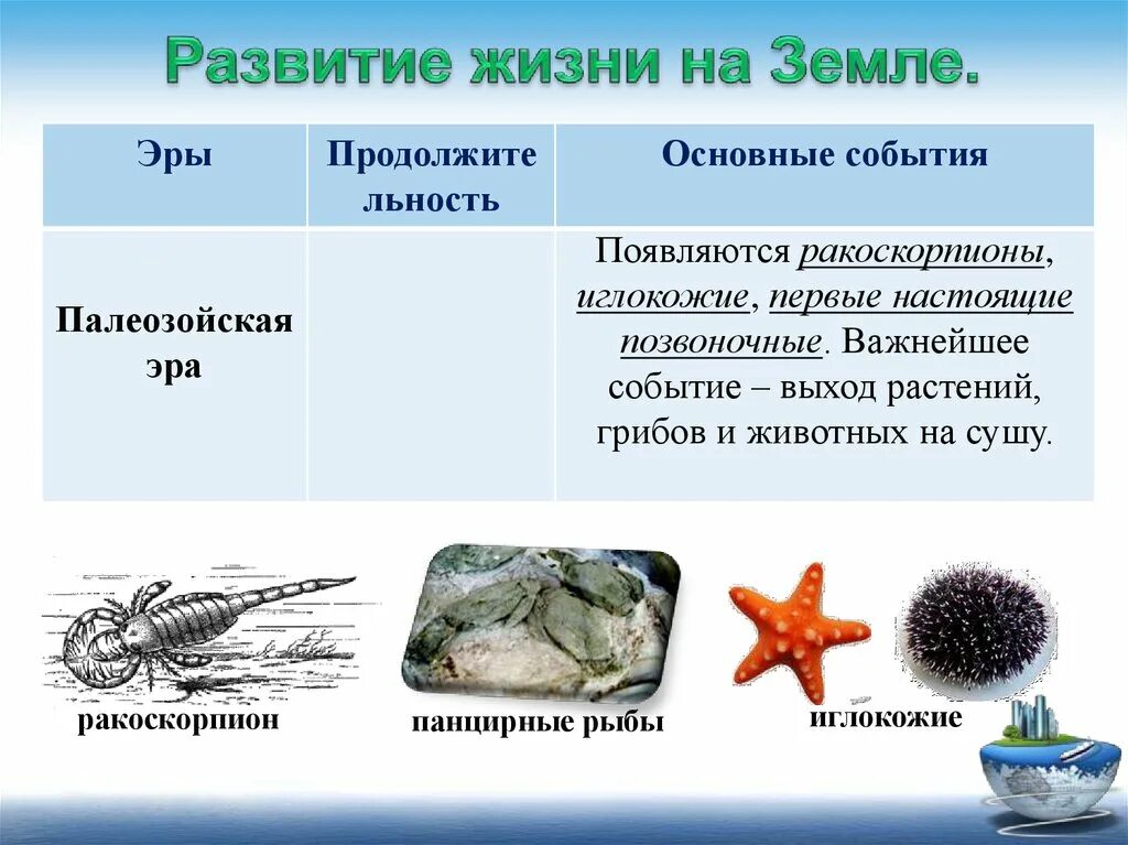 Развитие жизни на земле презентация 9 класс