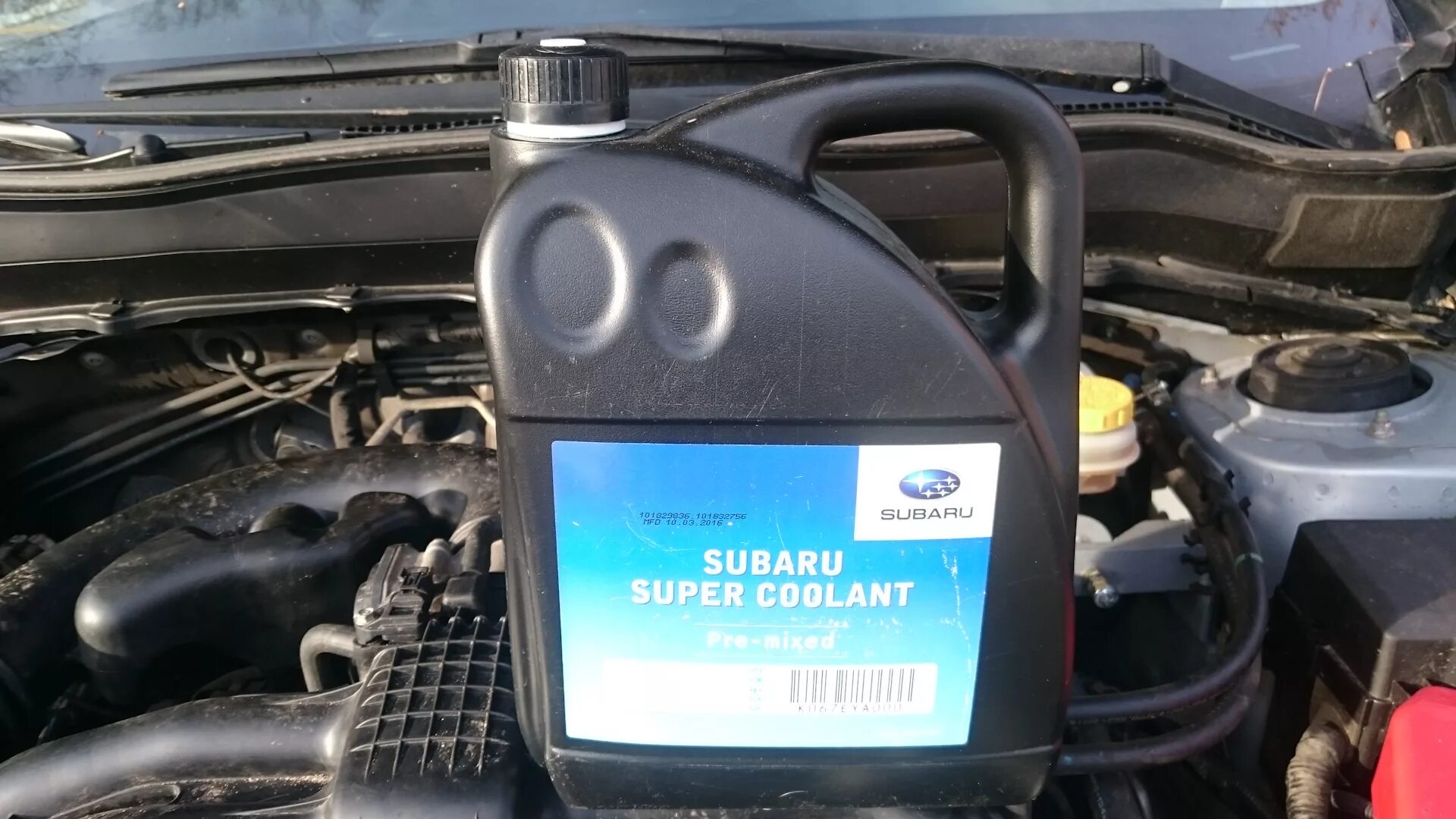 Субару форестер сколько антифриза. Антифриз subaru forester 2021. Антифриз субару форестер. Антифриз субару форестер sj. Антифриз subaru super coolant.