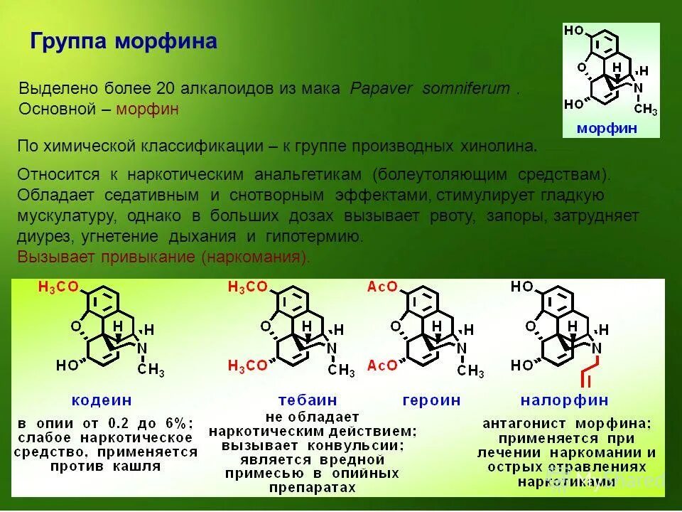 Выделяет ли. Морфин функциональные группы. Морфин химическая структура. Морфин относится к. Алкалоиды химическая структура.