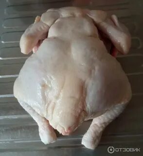 Покажи тушку