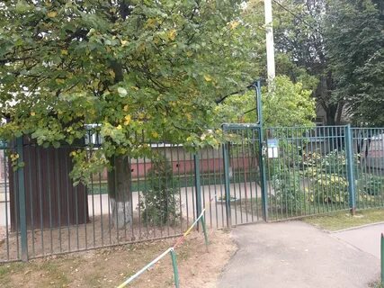 Золотая рыбка домодедово
