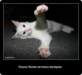 Более активнее