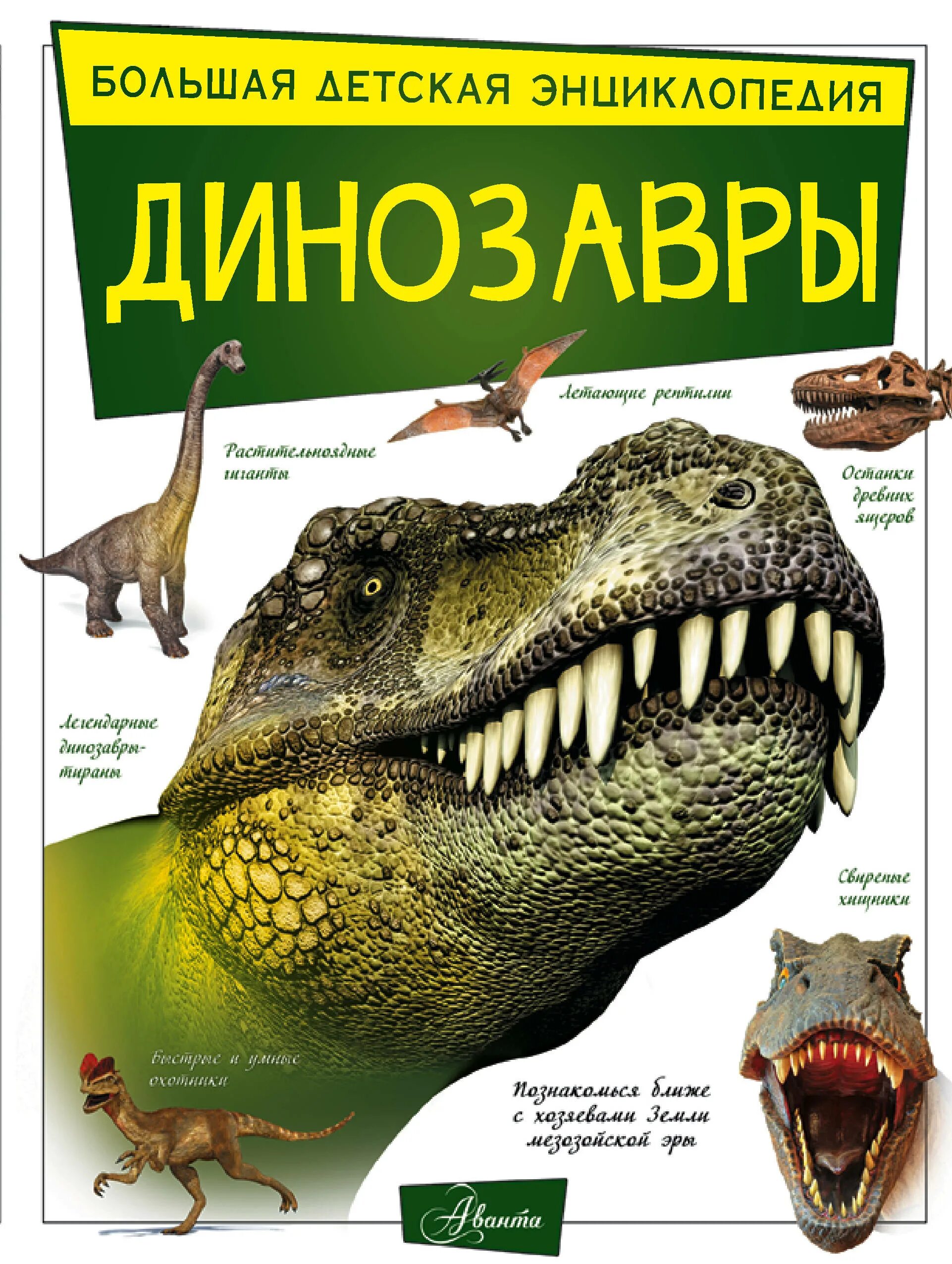 Динозавры. Энциклопедия для детей. Книга динозавры. Большая энциклопедия динозавров. Детские энциклопедии про динозавров. Динозавры книга купить