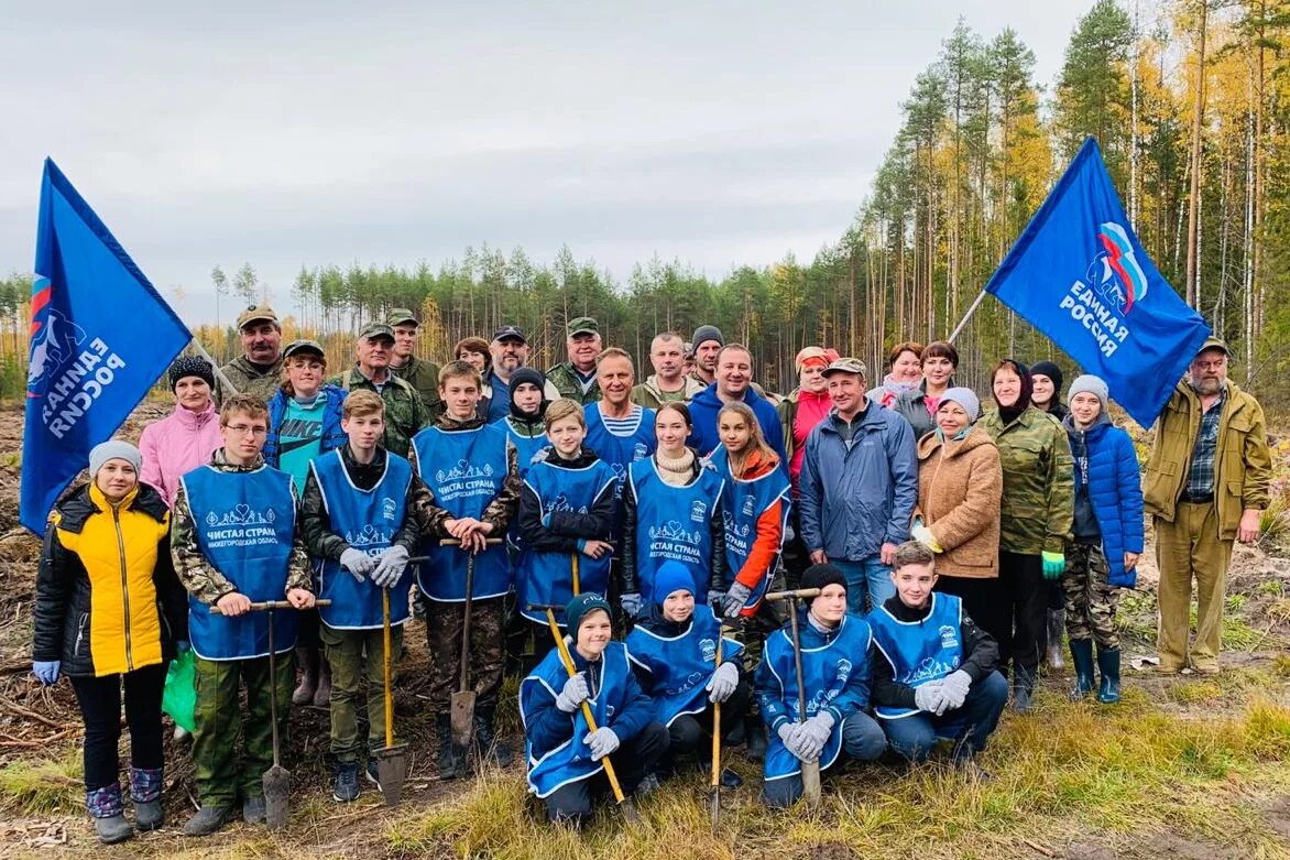 Сайт минлесхоза нижегородской. Министерство лесного хозяйства Нижегородской. Департамент лесного хозяйства Нижегородской области. Воскресенское районное лесничество Нижегородская область. Министр лесного хозяйства Нижегородской.