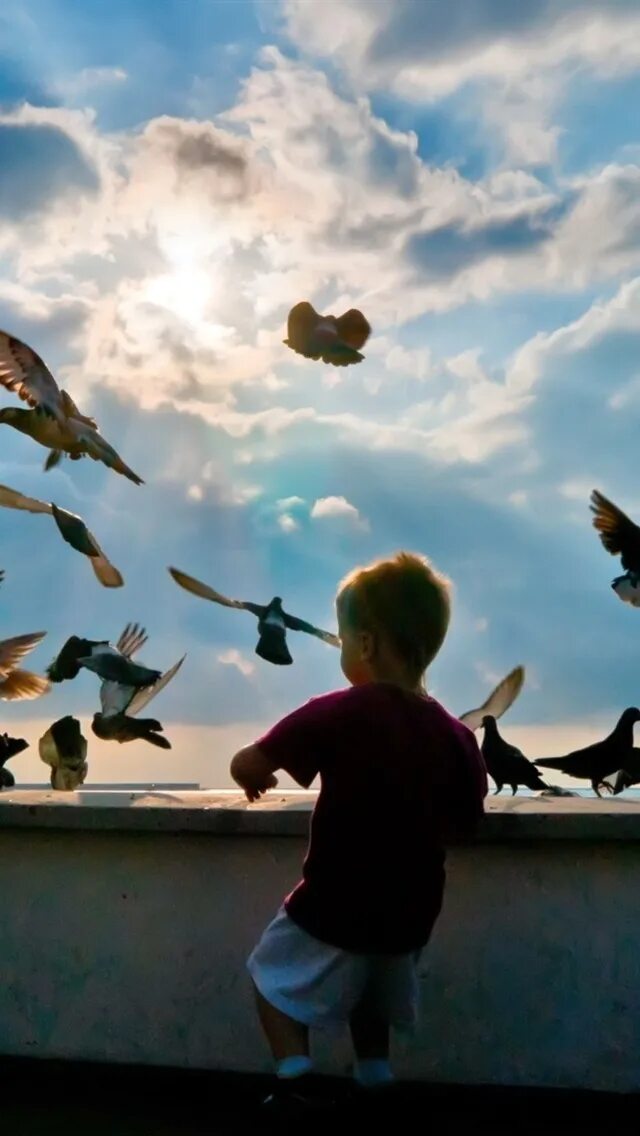 Мальчик и птица полностью. Дети голубей. Мальчик и птица. Голуби в небе. Дети голуби небо.