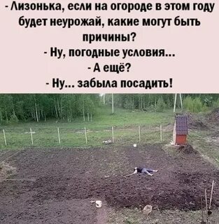 Ничего садить не буду