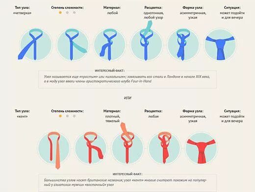 Укажите форму записи алгоритма завязывания галстука