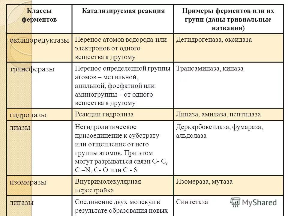 Ферменты примеры реакций. Классы ферментов с примерами реакций. Классификация ферментов с примерами. Реакции с ферментами примеры. Классы ферментов катализируемая реакция примеры ферментов.