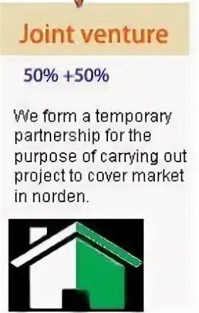 Temp partner