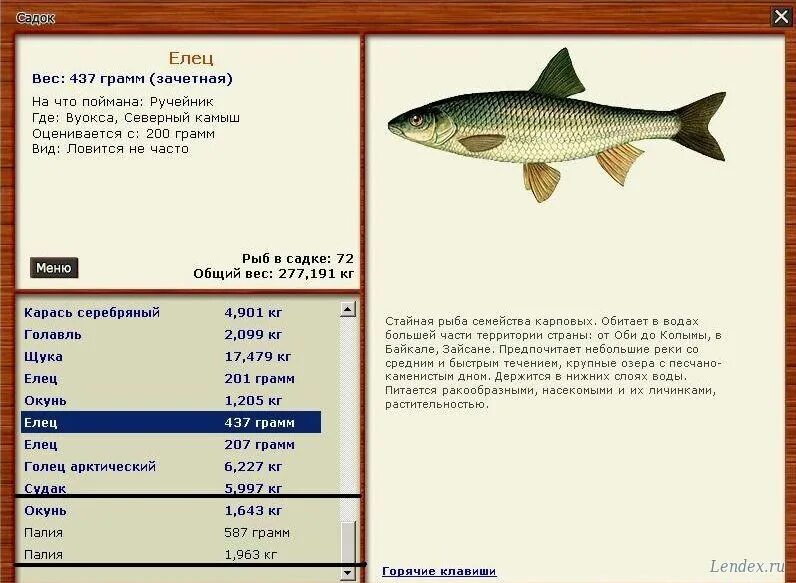 Русская рыбалка 3 1 вуокса белоглазка. Русская рыбалка 3 озерная форель вуокса. Рыбалка 3 вуокса. Русская рыбалка 3 вуокса белоглазка. Русская рыбалка 3 вуокса язь.