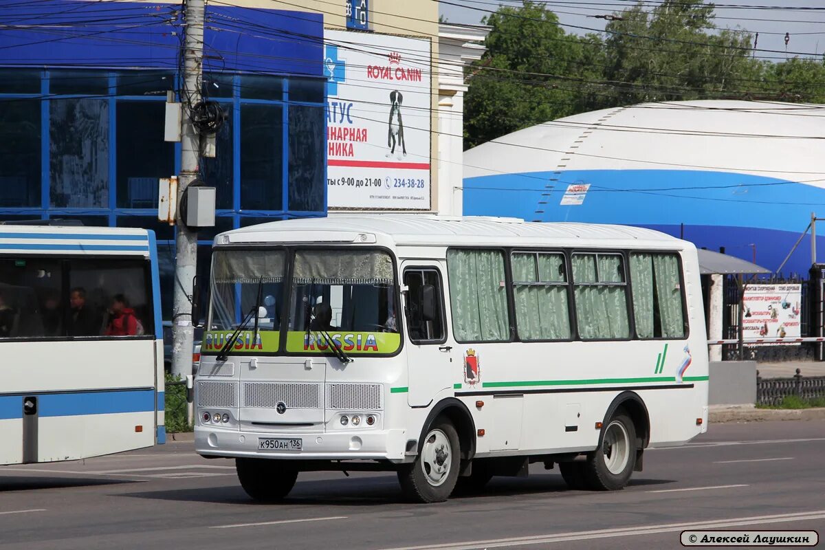 90. Автобус москва волгоград. Автобус 49 воронеж. Ярославль воронеж автобус. Лиаз-52563r.