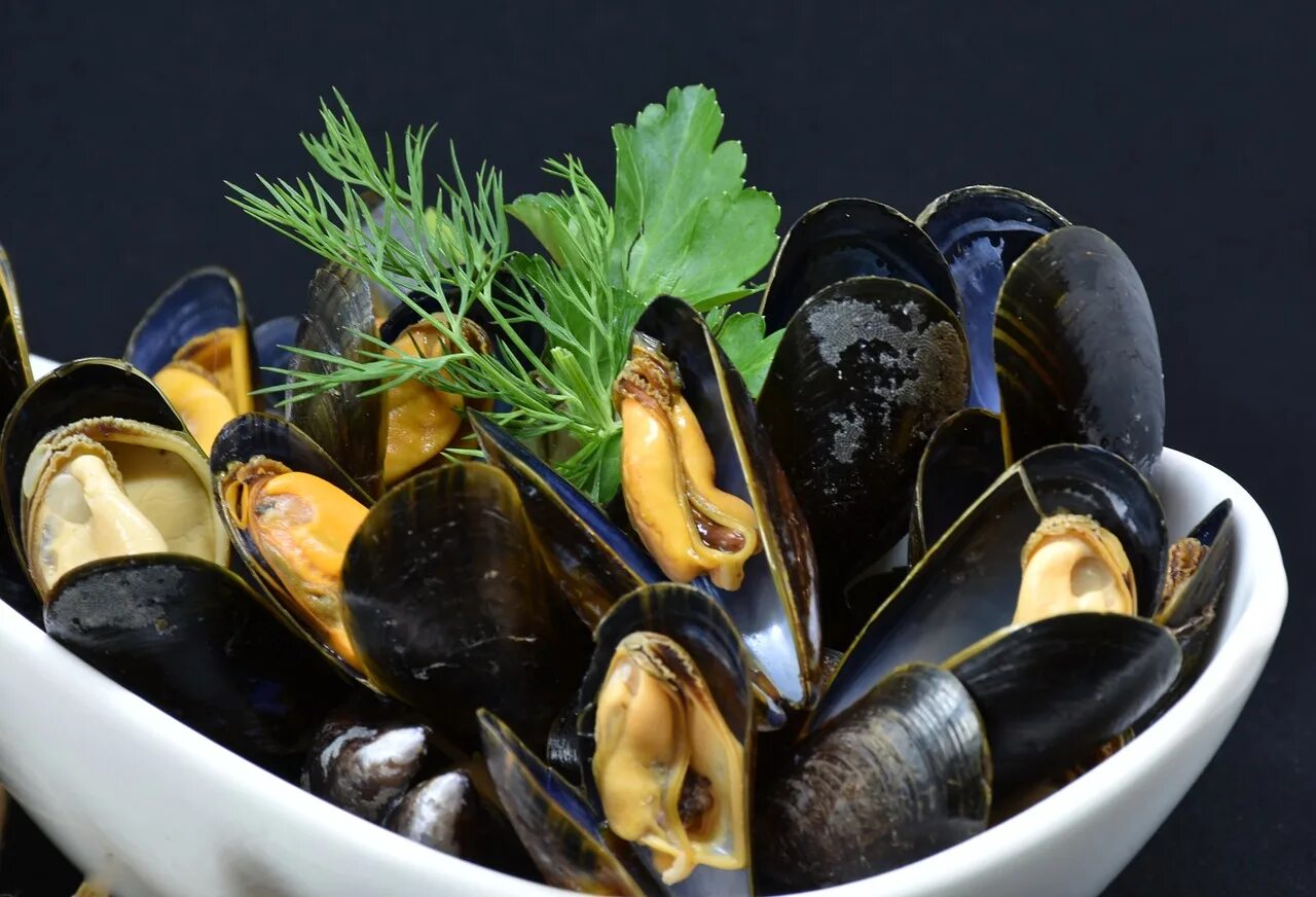 Мидии можно в пост. Мидия моллюск. Мидии Mytilus Chilensis. Premium Mussels мидии. Мидия Тихоокеанская.