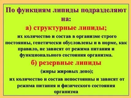 Углеводы липиды презентация