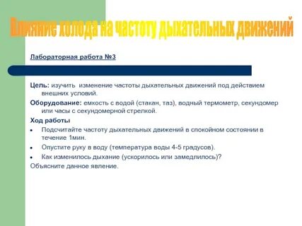 Вывод лабораторной работы 8